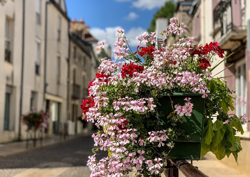 f:id:turque1991:20190925221247j:plain