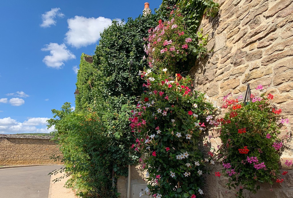 f:id:turque1991:20190925221346j:plain